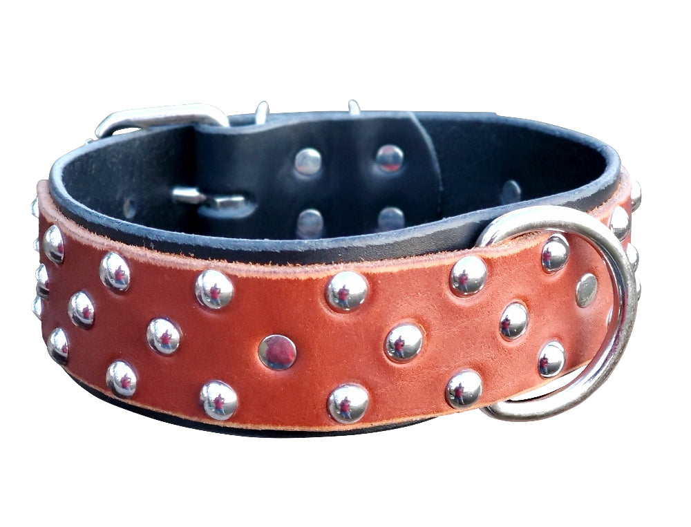 2" Dual Layer Studded  Two Tone Full Grain Leather Dog Collar - fits 18" to 22"
