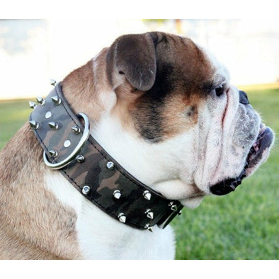 Camo Leather Spiked Dog Collar 