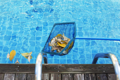 skimming swimming pool leaves after storm