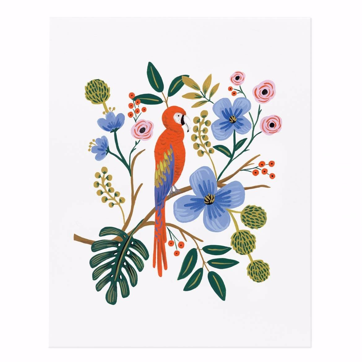 rifle-paper-co-rifle-paper-macaw-art-print-huebow