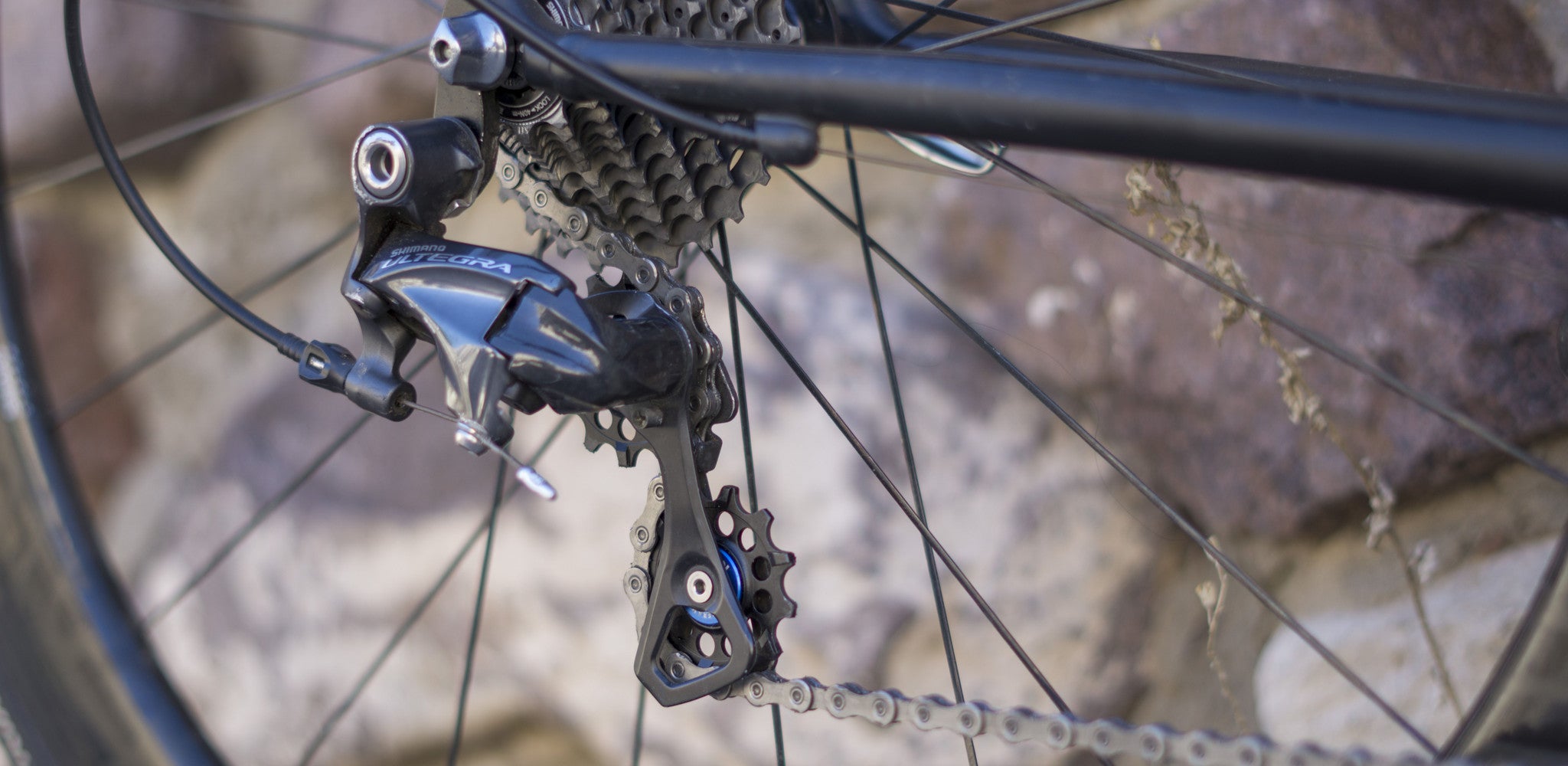 derailleur cog