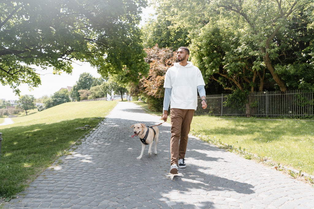 Mensch mit Hund an der Leine.