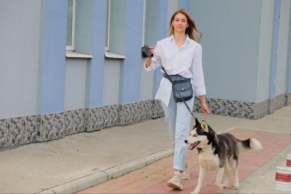 Frau läuft mit Hund an der leiner durch die Straße