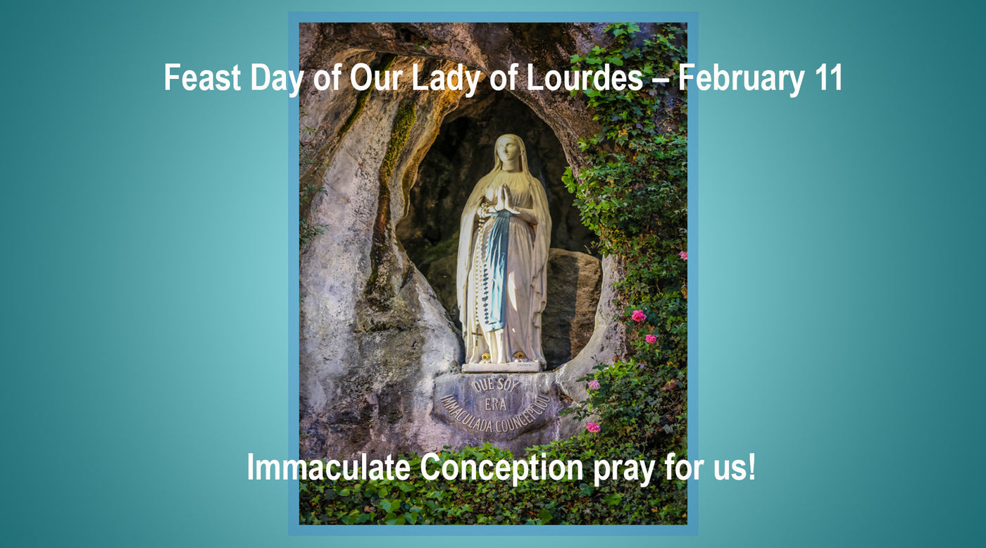 The Feast Day of Our Lady of Lourdes February 11 7 Sorrows Rosaries