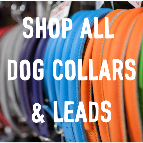 SHOP DOG COLLARS AND LEADS