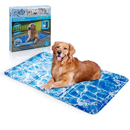 gel dog mat