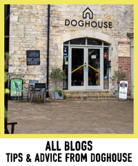 ALL BLOGS FROM DOGHOUSE
