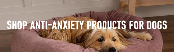 ANTI ANXIETY FOR DOGS