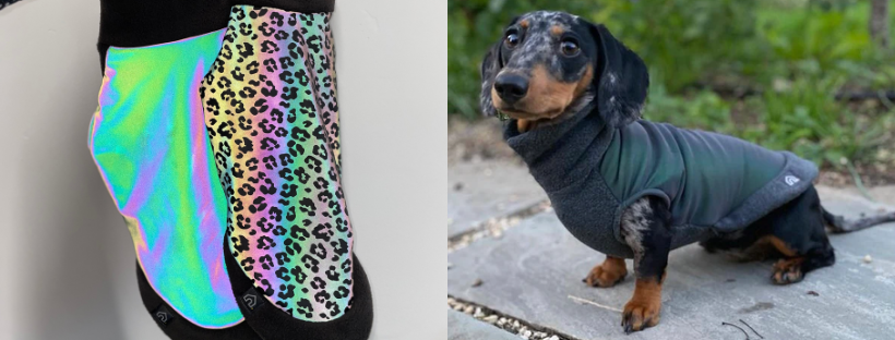 reflective dachshund jumper