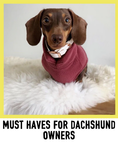 must haves for daxie owners