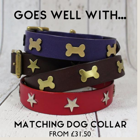 CREATURE CLOTHES DOG COLLARS