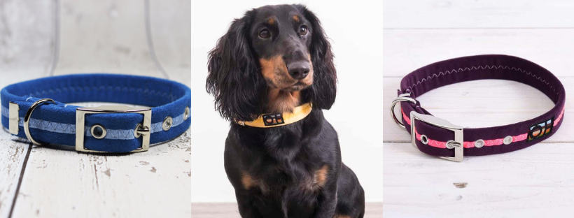 Best Collars for Dachshunds - Vegan Suede Oscar and Hooch Dog Collars