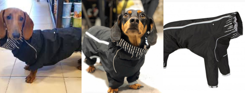 best waterproof coats for dachshunds - hurtta downpour suit