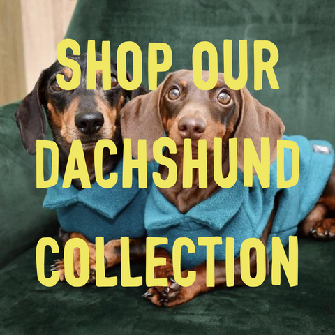 DACHSHUND MUST HAVES