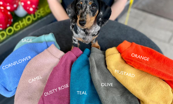 Dachshund fleece jumper colours