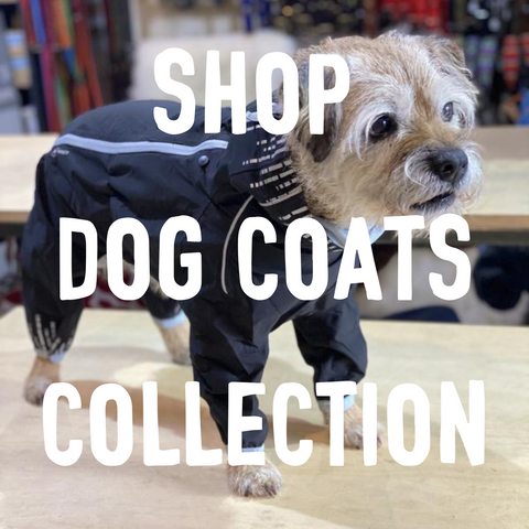 DOG COATS