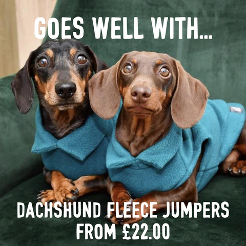 dachshund fleece jumpers