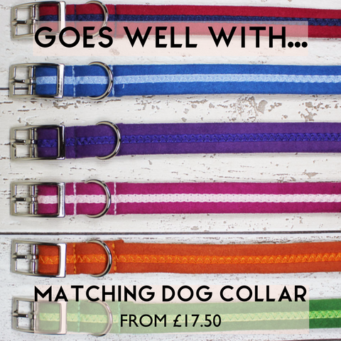 GREEN MATCHING DOG COLLAR AND LEAD