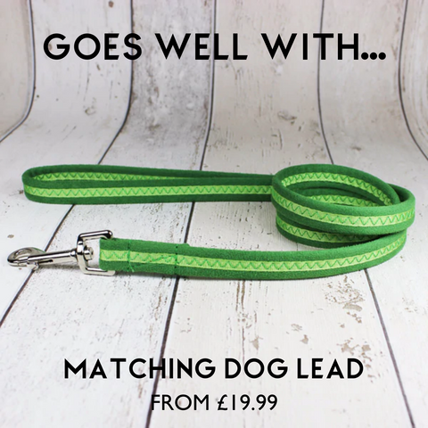 green dog lead oscar and hooch