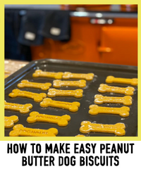 HOW TO MAKE PEANUT BUTTER DOG BISCUITS