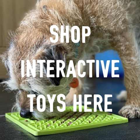 INTERACTIVE TOYS FOR DOGS