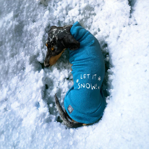 christmas jumpers for dogs