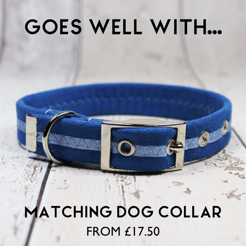 MATCHING DOG COLLAR AND LEAD BLUE