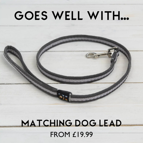 GREY MATCHING DOG LEAD AND COLLAR