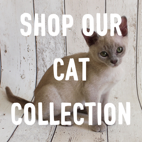 shop cat toys and treats