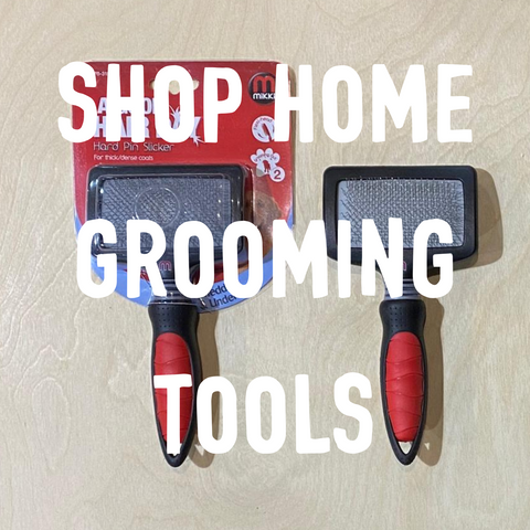 SHOP HOME GROOMING TOOLS