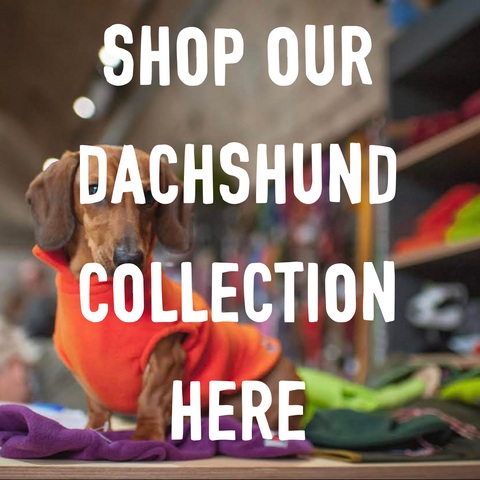 SHOP DACHSHUND BEST SELLING PRODUCTS