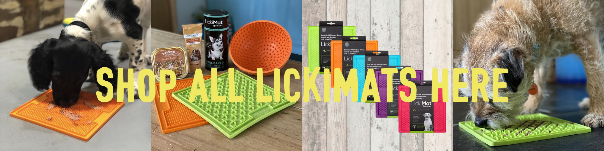 Best Lick Mats to Distract Nervous Dogs