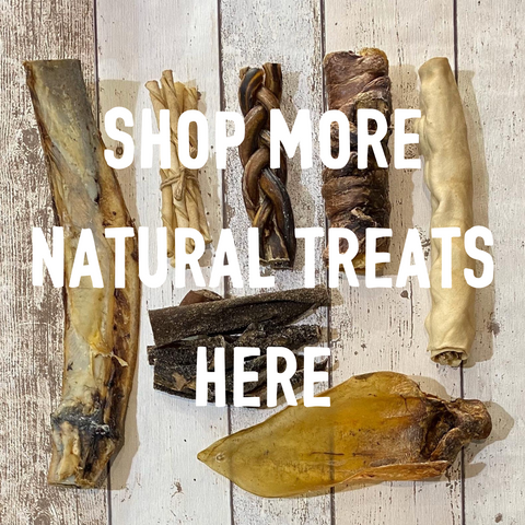 Shop Natural Dog Treats