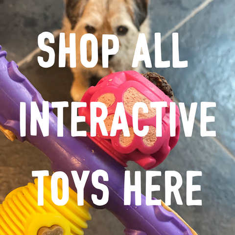 Shop interactive dog toys