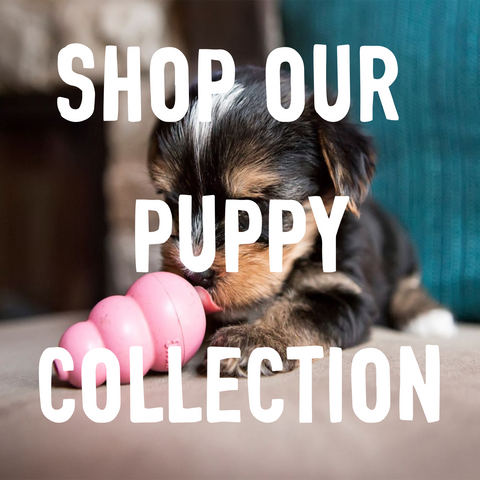 shop puppy collection