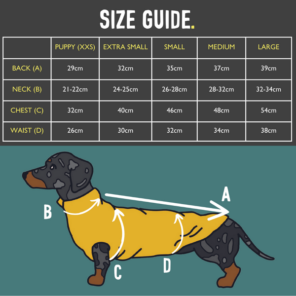 dachshund jumper size guide