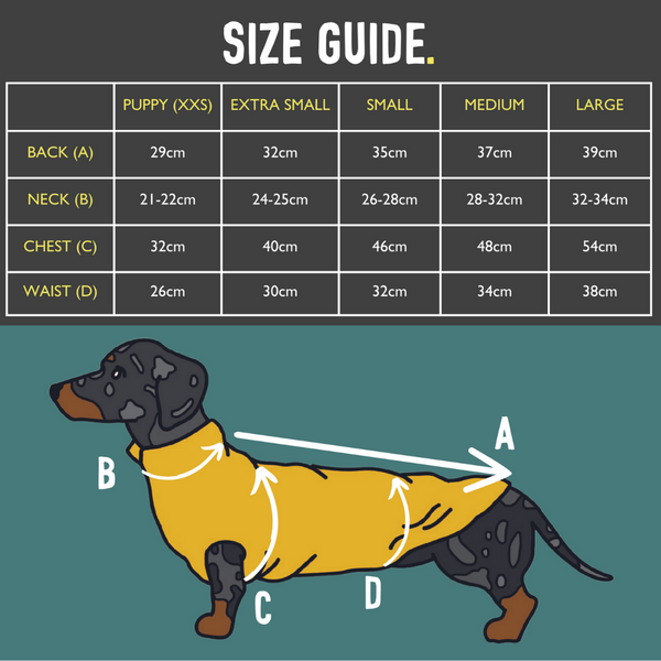 how to measure your dachshund for clothing