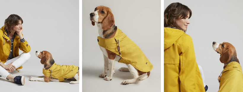 joules yellow raincoat for dogs