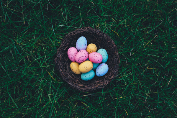 best dog friendly events for easter