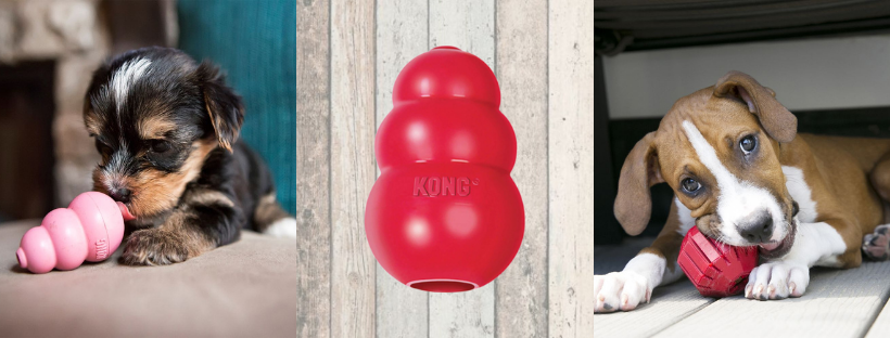 can you freeze a kong dog toy?