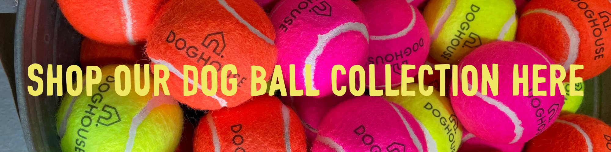 dog ball collection