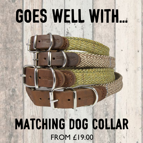 matching tweed collar and lead set