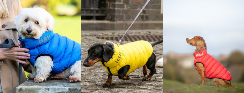 dog puffer coats - best dog coats for spring