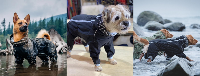 hurtta downpour suit - best dog coats for spring