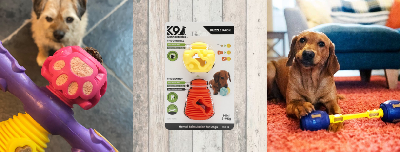 Best 7 Dog Toys for Keeping Your Dog Entertained at Home – DOGHOUSE