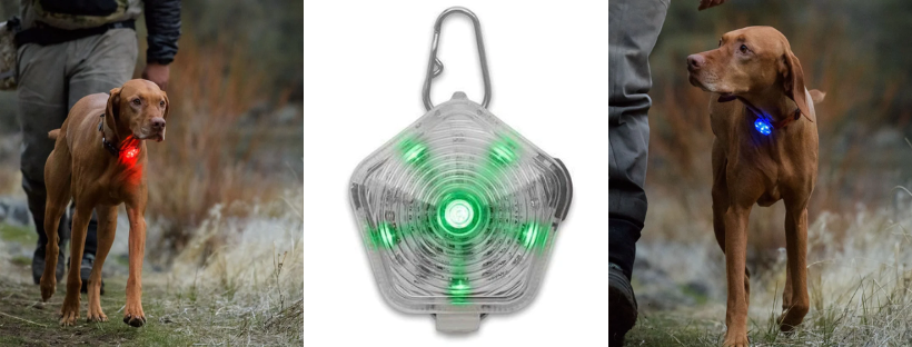 collar light for dogs