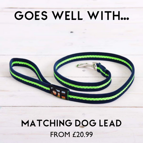 neon green dog lead oscar and hooch