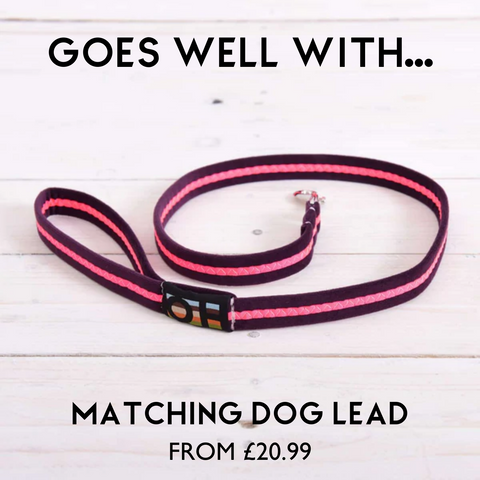 pink oscar and hooch dog lead