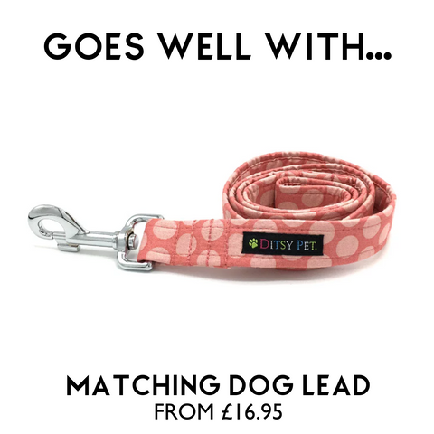 pink spotty dog collar and lead