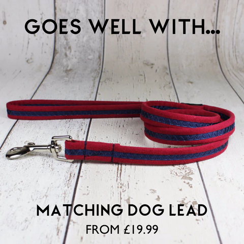 red suede dog lead